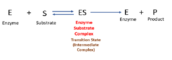 mechanism